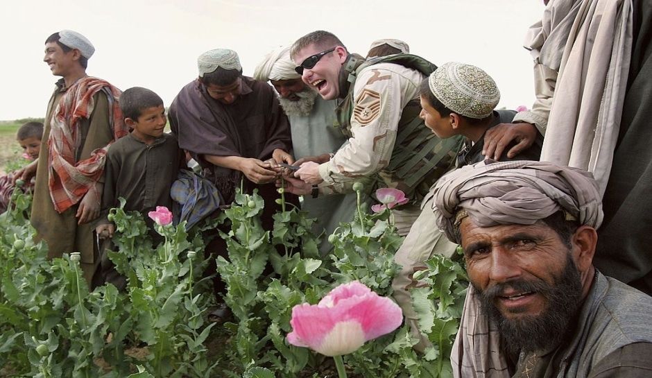 Афганистан наркотики талибан поганка есть наркотик